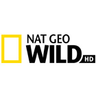 NATIONAL GEOGRAPHIC WILD HD - Dokumentumfilm
